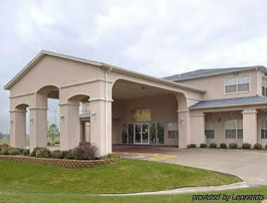 Super 8 By Wyndham Greenville Extérieur photo